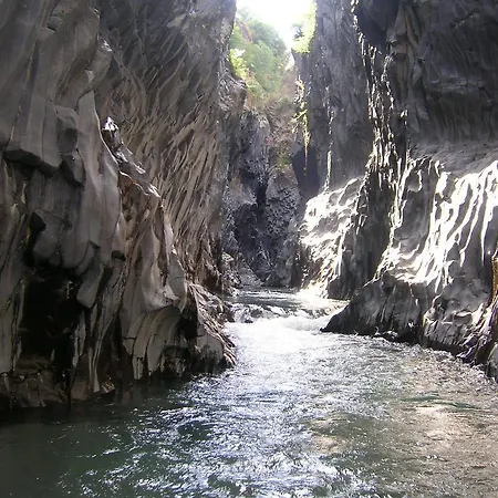 公寓式酒店 Kassiopea